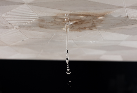 bestfloodrestorationsutahwagterdamage (2)